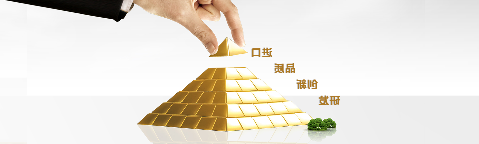 大图3